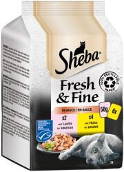 Sheba 72x50g Sheba Fresh & Fine lazac & csirke szószban nedves macskatáp