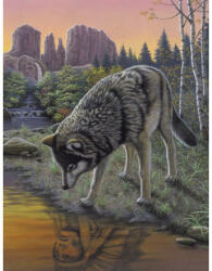 SMT Painting Royal 22x30cm Wolf (PJS85) Carte de colorat