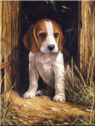 SMT Painting Royal 22x30cm Beagle (PJS58) Carte de colorat