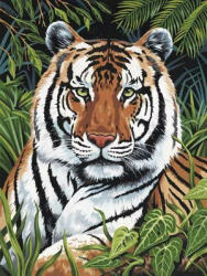 SMT Painting Royal 22x30cm Tigru în iarbă (PJS75) Carte de colorat