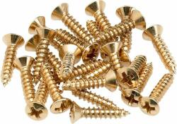 Fender Pickguard/Control Plate Mounting Screws Gold