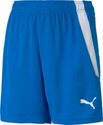 PUMA Sorturi Puma teamLIGA Shorts Jr 70493102 Marime 164 (70493102)