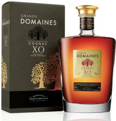  Grands Domaines XO cognac (0, 7L / 40%) - ginnet