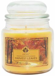 Arôme Arôme Glass Scented Candle Harvest Leaves 424 g