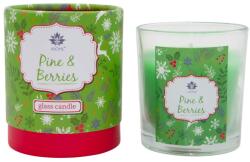 Arôme Arôme Glass Scented Candle Pine & Berries 120 g