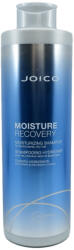 Joico Moisture Recovery Moisturizing Shampoo 1000 ml