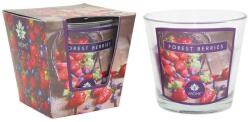 Arôme Arôme Glass Scented Candle Forest Berries 120 g