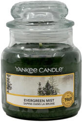 Yankee Candle Evergreen Mist Small Jar 104 g