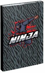 Baagl Planșe pentru caiete școlare A4 Ninja (A-31598)