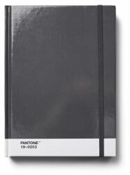 Pantone Caiet PANTONE cu puncte, mărime L - Gri 19-0203 (101520203)