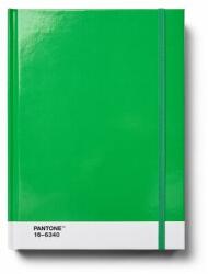 Pantone Caiet PANTONE cu puncte, mărime L - Verde 16-6340 (101526340)