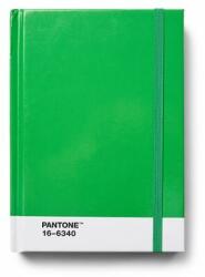 Pantone Caiet PANTONE cu puncte, mărimea S - Verde 16-6340 (101516340)