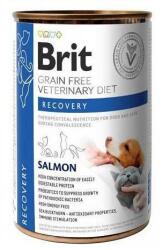 Brit Veterinary Diet Recovery Salmon helyreállító eledel kutyáknak és macskáknak 24x400g
