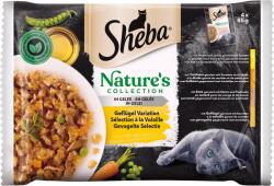Sheba Nature's Collection nedves macskatáp aszpikban - Szárnyasválogatás 4x85g - 340 g
