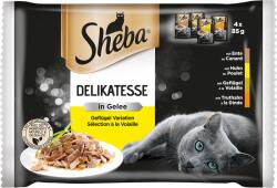Sheba Delikatesse Adult alutasakos nedves macskatáp aszpikban - Szárnyasválogatás 4x85g - 340 g