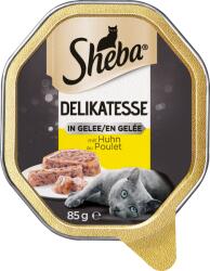 Sheba Delikatesse alutálkás nedves macskatáp aszpikban - Csirke - 85 g