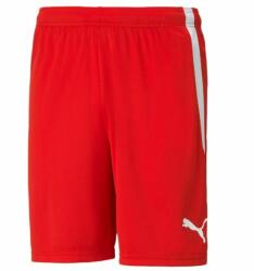 PUMA Short teamLIGA Shorts Puma Red-Puma White férfi