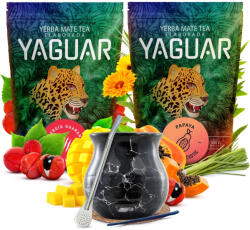 Yerba Mate set Yaguar ceramică calabash bombilla - matemundo - 154,98 RON