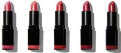 Revolution PRO Set 5 rujuri - Revolution Pro 5 Lipstick Collection Matte Reds 5 x 3.2 g