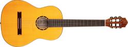 Ortega Guitars R170F
