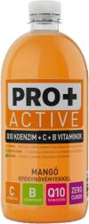 Power Fruit PRO + Active Q10, C- és B-vitamin - mangó ízű 0, 75 l