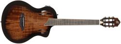 Ortega Guitars RTPDLX-ACA