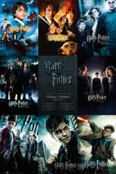 GB eye Poster maxi GB Eye Harry Potter - Collection (FP2698)