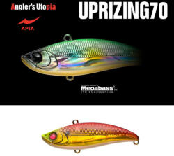 Apia UPRIZING 70HW 18gr 70mm 01 Red Gold Konoshiro (AP26896) - koi-farm