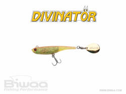 Biwaa DIVINATOR MINI 9.5cm 9gr 17 Chart Red Back (B001306) - koi-farm