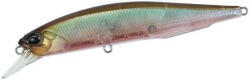 Duo REALIS JERKBAIT 100SP 10cm 14.5gr GEA3006 Ghost Minnow (DUO59880)