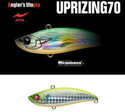 Apia UPRIZING 70HW 18gr 70mm 06 LGH Chart Back (AP26940)