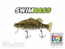 Biwaa SWIMBASS 6" SLOW SINK 15cm 65gr 35 Smallie (B001740)