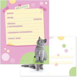 Ars Una Cuki állatok-Brit rövidszőrű macska partimeghívó borítékkal (50223053)