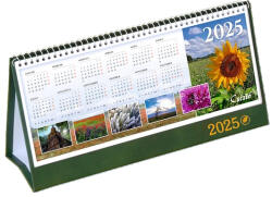 Csízió Asztali naptár álló 2024 Csízió zöld napi motivációval 53 lapos-méret: 310x160 mm
