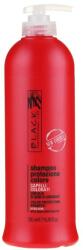 Black Professional Șampon pentru protecția culorii - Black Professional Line Colour Protection Shampoo 500 ml