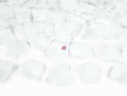 D&D Rózsaszirom műanyag fehér 500 db-os (PLRD500-008)