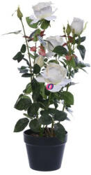 D&D Selyemvirág rózsabokor műanyag kaspóban műanyag 61cm krém (DD61173)