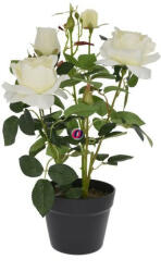 D&D Selyemvirág rózsabokor műanyag kaspóban műanyag 51cm krém (DD61176)