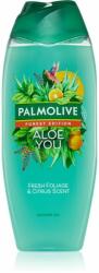 Palmolive Forest Edition Aloe You gel de dus hidratant 500 ml
