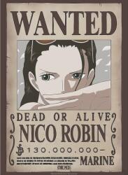 GB eye Mini poster GB eye Animation: One Piece - Nico Robin Wanted Poster (GBYDCO234)