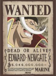 GB eye Mini poster GB eye Animation: One Piece - Whitebeard Wanted Poster (GBYDCO263)