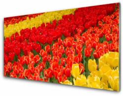tulup. hu Fali üvegkép tulipán virágok 100x50 cm 4 fogas