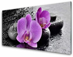 tulup. hu Üvegkép Orchidea virágok orchidea Spa 125x50 cm 2 fogas