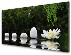 tulup. hu Konyhai hátfal panel Lotus flower tavirózsa 140x70 cm