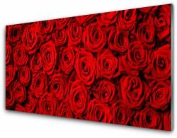 tulup. hu Fali üvegkép Roses A Wall 100x50 cm 4 fogas