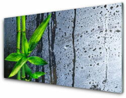 tulup. hu Modern üvegkép Bamboo Leaf Nature Plant 100x50 cm 2 fogas