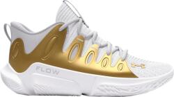 Under Armour UA W FLOW BREAKTHRU 4 Kosárlabda cipő 3026641-113 Méret 40 EU