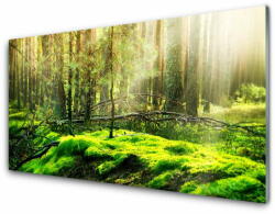 tulup. hu Fali üvegkép Forest Moss Természet 140x70 cm 4 fogas