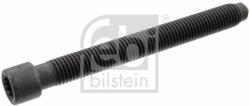 Febi Bilstein hengerfejcsavar FEBI BILSTEIN 18146 (18146)