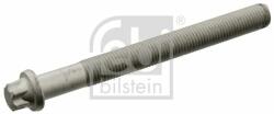 Febi Bilstein hengerfejcsavar FEBI BILSTEIN 19419 (19419)